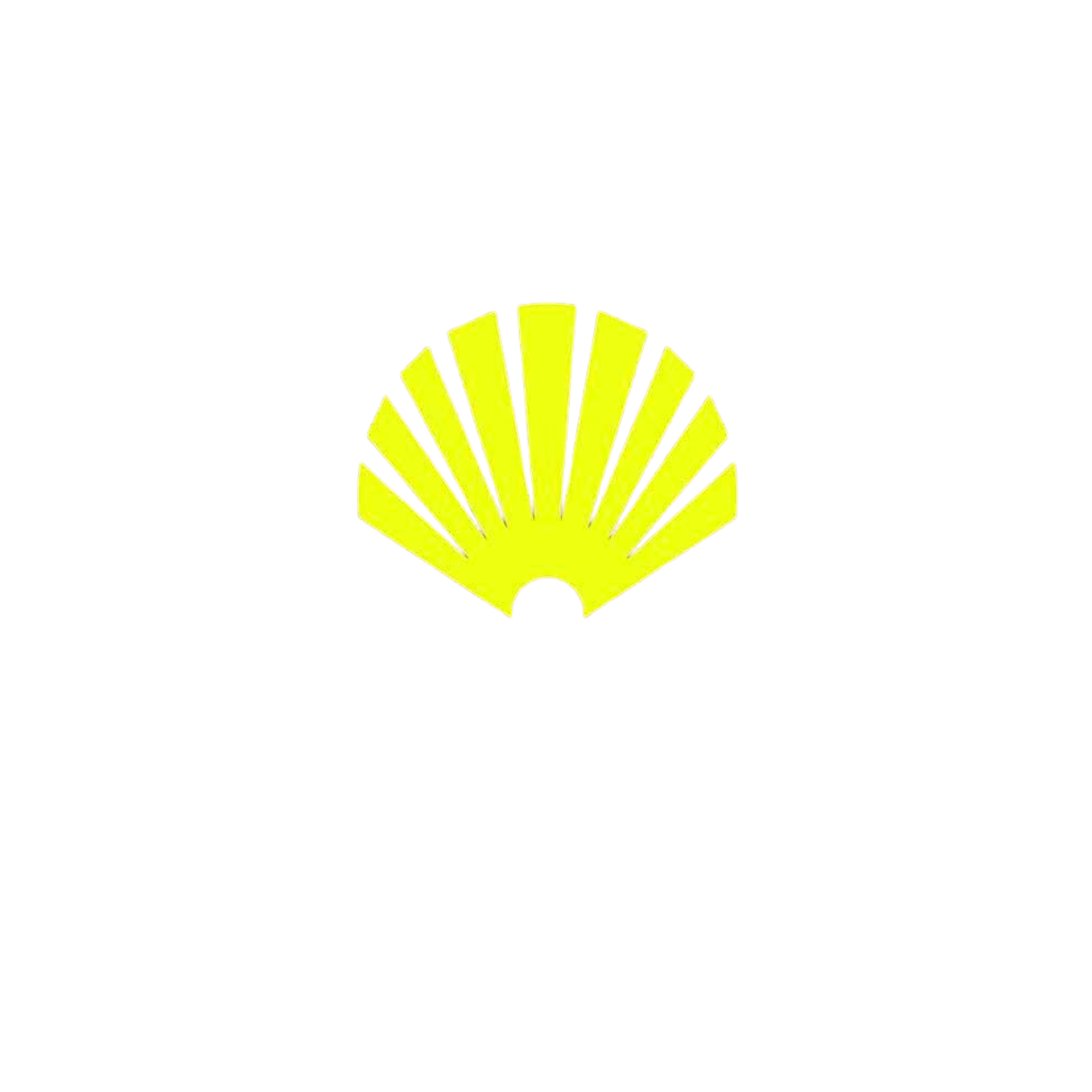 new amsterdam surf association, newamsterdam, surfassociation